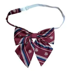 制服 リボン スクール 赤 バーガンディ色 ストライプ柄 ネイビー エンブレム柄