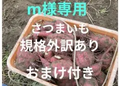 m様専用さつまいも規格外訳ありおまけ付き箱込み２０キロ以下