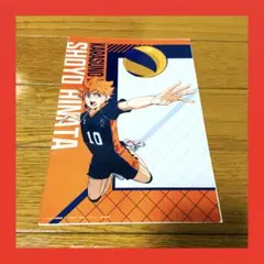 【即購入可】ハイキュー！！ クリアビジュアルポスター 日向翔陽