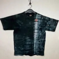 アメリカ製　Harley Davidson ハーレー シングルステッチT