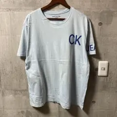 Tシャツ 90s 00s ヴィンテージ Y2K カルバンクライン 古着 G823