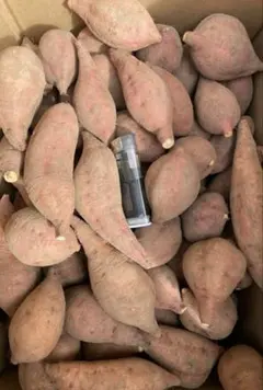 種子島産安納芋 紅 2S訳あり 3kg