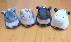 2026年最新】チンチラ ガチャ パイドの人気アイテム - メルカリ