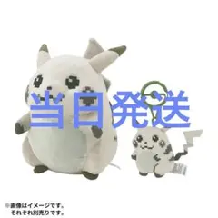 ぬいぐるみ はじまりのピカチュウ　ポケセン　ポケモンセンター　ぴかちゅう