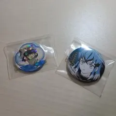 鬼滅の刃 嘴平伊之助 缶バッジ2個セット