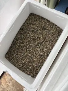 水槽用底砂利(鹿島産)のサムネイル