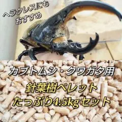 Item thumbnail for item 6bbdc2d0-d190-4d84-9b95-6fe3ef186d86