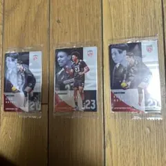 永露元稀 エバデダンラリー バレーボール日本代表 トレーディングカード 3枚組み