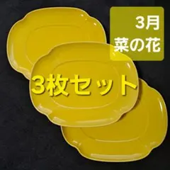 金麦 花やか皿 の大皿　3枚セット 3月　菜の花
