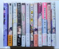 BL漫画/BLマンガ 12冊まとめ売り