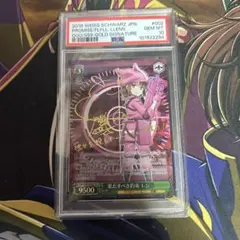 2025年最新】ヴァイス psa10の人気アイテム - メルカリ