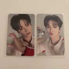 straykids リノ maxident