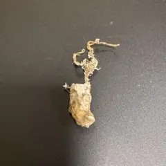 Item thumbnail for item d3f49bec-0b7c-4e2a-a1af-7a426b54b6e8