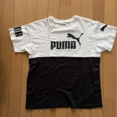 PUMA ロゴ入り Tシャツ ホワイト/ブラック