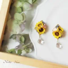 No.410　ひまわり　ひし形デザイン　本物のお花のピアス　イヤリング　向日葵