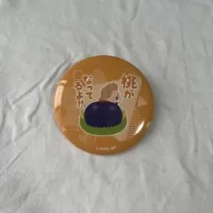 ヒロアカ　缶バッジ　通形ミリオ