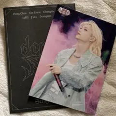 Stray Kids フィリックス　ラントレ　VR