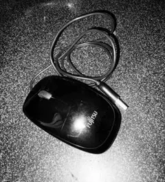 Item thumbnail for item 7919d312-c2ce-40fe-b455-afcbf0e1cec8