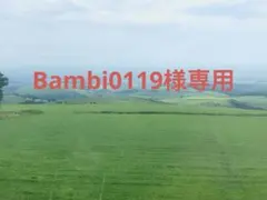 2026年最新】banbi sound gardenの人気アイテム - メルカリ