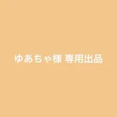 専用出品