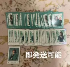 忍ミュ ミュージカル忍たま乱太郎 善法寺伊作(65枚)