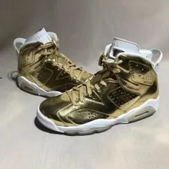 希少 NIKE AIR JORDAN 6 RETRO P1NNACLE