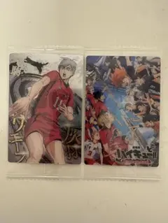 ハイキューカード2枚セット