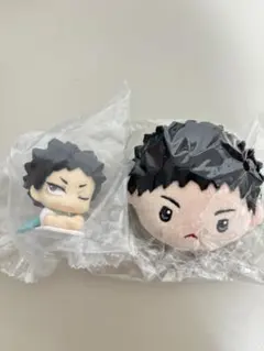 ハイキュー　岩泉一セット