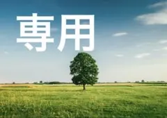 Item thumbnail for item 1b2daf1a-d5fa-401b-b037-249c8776a828