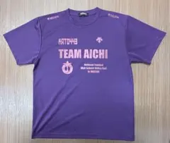 TEAM AICHI バレーボールシャツ 紫 DESCENTE