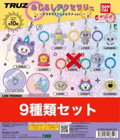 TRUZ めじるしアクセサリー ～キラキラスペシャル 9 種セット
