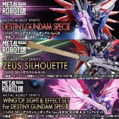 METALROBOT魂デスティニーガンダムSpecII 光の翼 ゼウスシルエット
