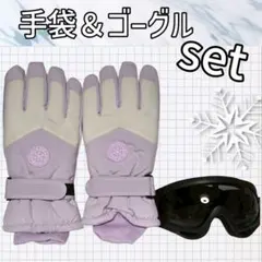 レディース グローブ　　新品未使用　手袋　スキー