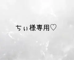 ちぃ様専用ページ