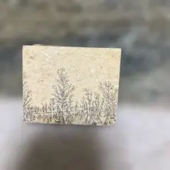 しのぶ石 擬化石 ドイツ産