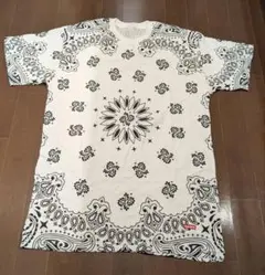 Supreme / Hanes Bandana Tagless Tees M