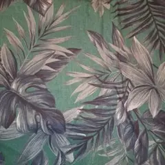 Item thumbnail for item 3add0071-79ef-45b0-9b77-e4cd4f0f0d88