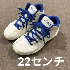 asics バスケットボールシューズ ホワイト/ブルー