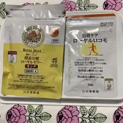 山田養蜂場 ローヤルゼリーキング 100粒 2袋セット 賞味期限 2027年4月