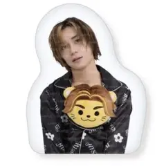 バリ BALLY'S BALLISTIK BOYZ BIGクッション 松井利樹 - メルカリ