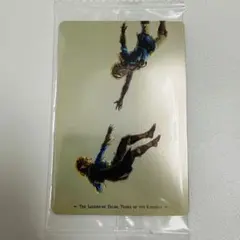 ゼルダの伝説 ティアーズ オブ ザ キングダム カードツインウエハース