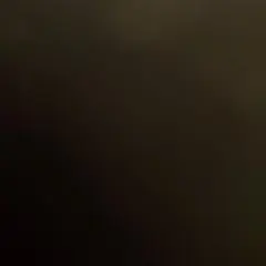 Item thumbnail for item af191965-4801-4f77-ab07-a9d1b5445451