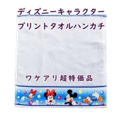 訳あり ディズニー タオルハンカチ 2枚セット ミッキーマウス ドナルドダック