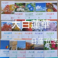 大白蓮華　昭和44年（1969） 1月〜12月号、11冊セット 大白蓮華 昭和44年（1969） 1月〜12月号、11冊セット 大白