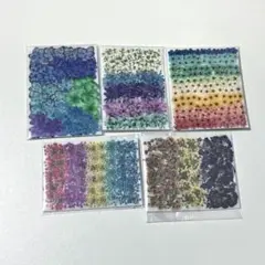 押し花セット11