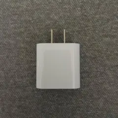 iPhone USB-C電源アダプタ タイプC 急速 アダプタ 充電器 純正
