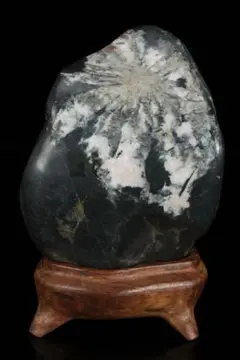 天然菊花石 鑑賞石 1883g 台座付 水石 盆石 天然石 原石 盆栽 盆景 天然菊花石 鑑賞石 1883g 台座付 水石 盆石 天然石 原石 盆栽