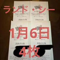 2026年最新】ハッピーエントリー通行証の人気アイテム - メルカリ