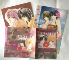 花とゆめ　「ネバーキブアップ！」非売品　付録　下敷き　ブックカバー