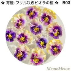 のり様 リクエスト 8点 まとめ商品